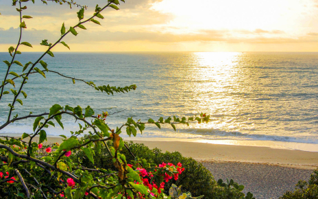 Casares beaches are just 15 mins drive away